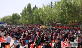 临漳一中爆料新闻,揭秘校园热点事件背后的真相